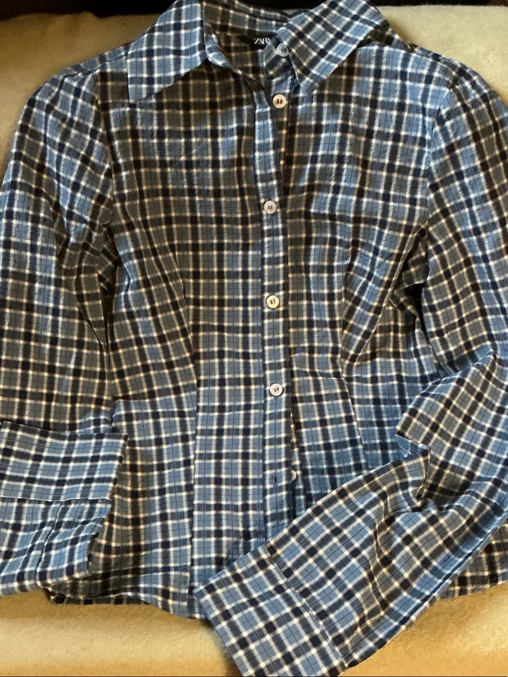 Zara Blue and White Plaid Button-Down Shirt - Men